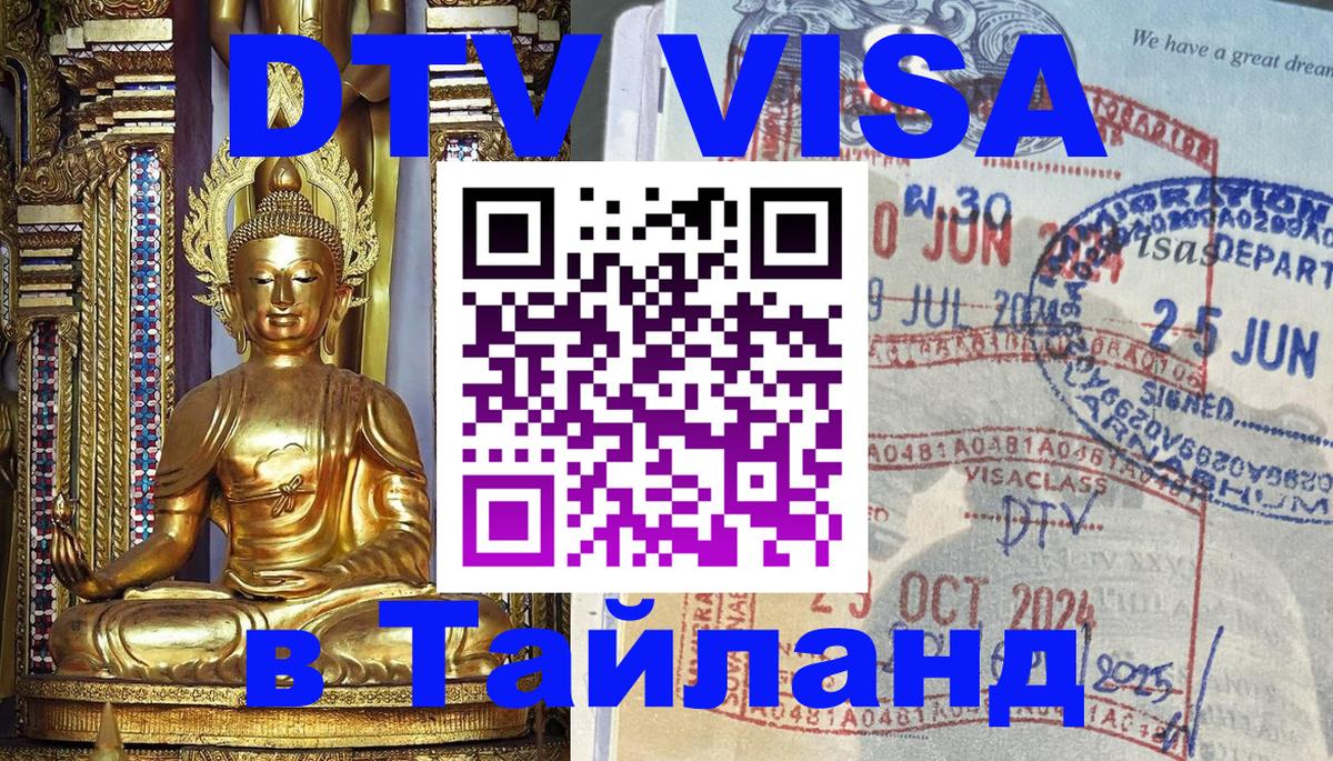 Сколько стоит DTV виза — актуальные цены, оформление даже без документов - София  05.10.2025 